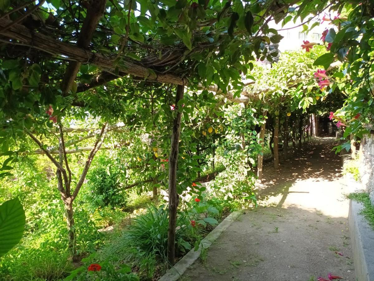 Casa Emi Leilighet Amalfi Eksteriør bilde